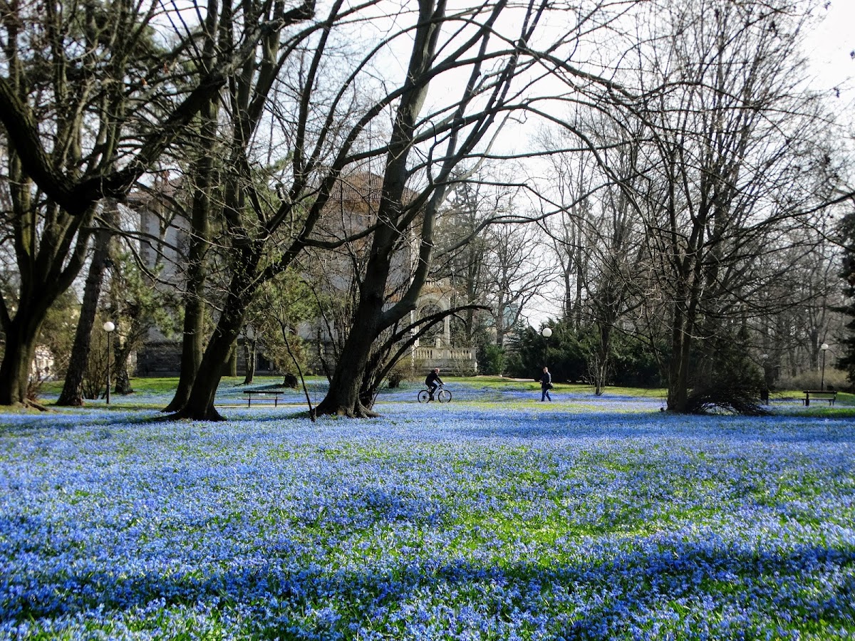 Park im. M. Klepacza
