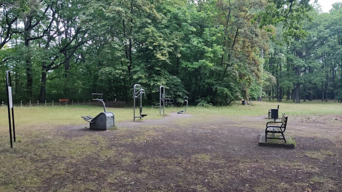 Siłownia zewnętrzna w parku 3 Maja
