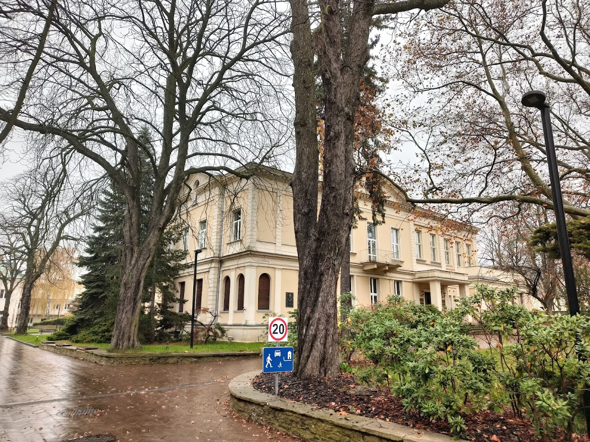 Pałac Oskara Kona