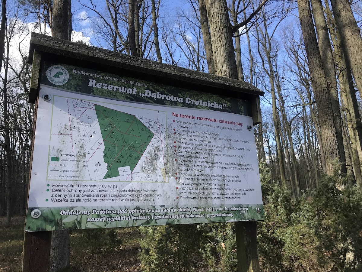 Rezerwat Przyrody Dąbrowa Grotnicka