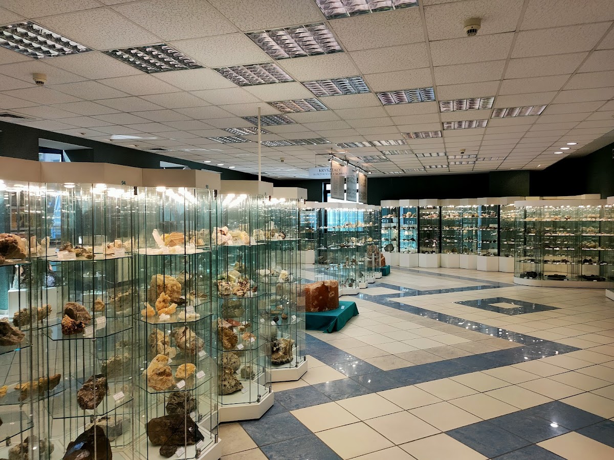 Muzeum Geologiczne Uniwersytetu Łódzkiego