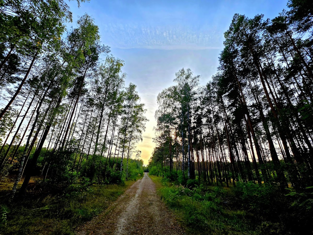 Sulejowski Park Krajobrazowy