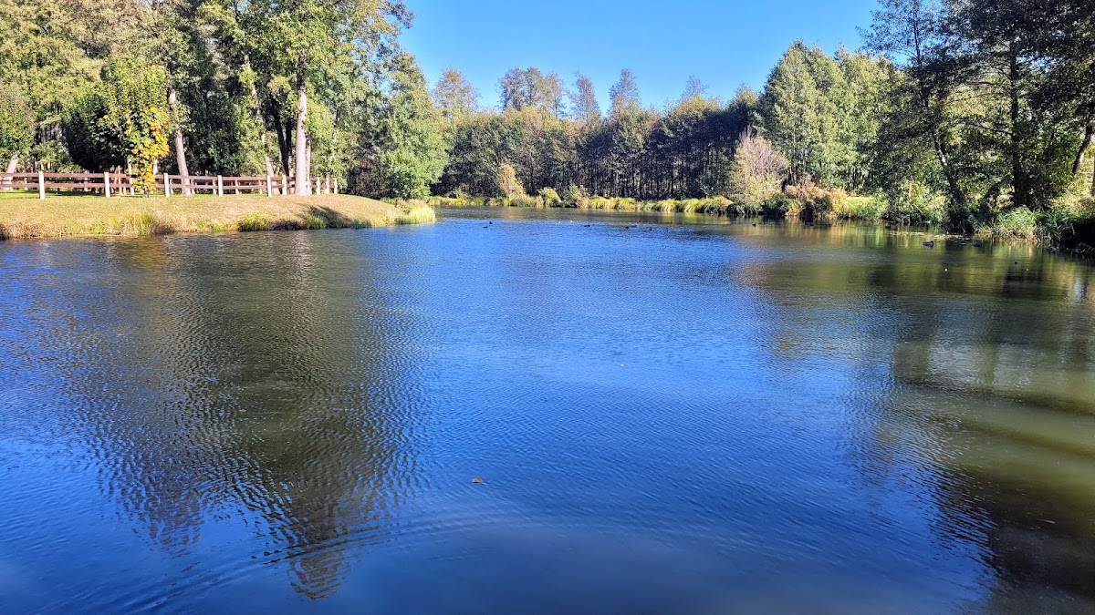 Wyspa Szczerców