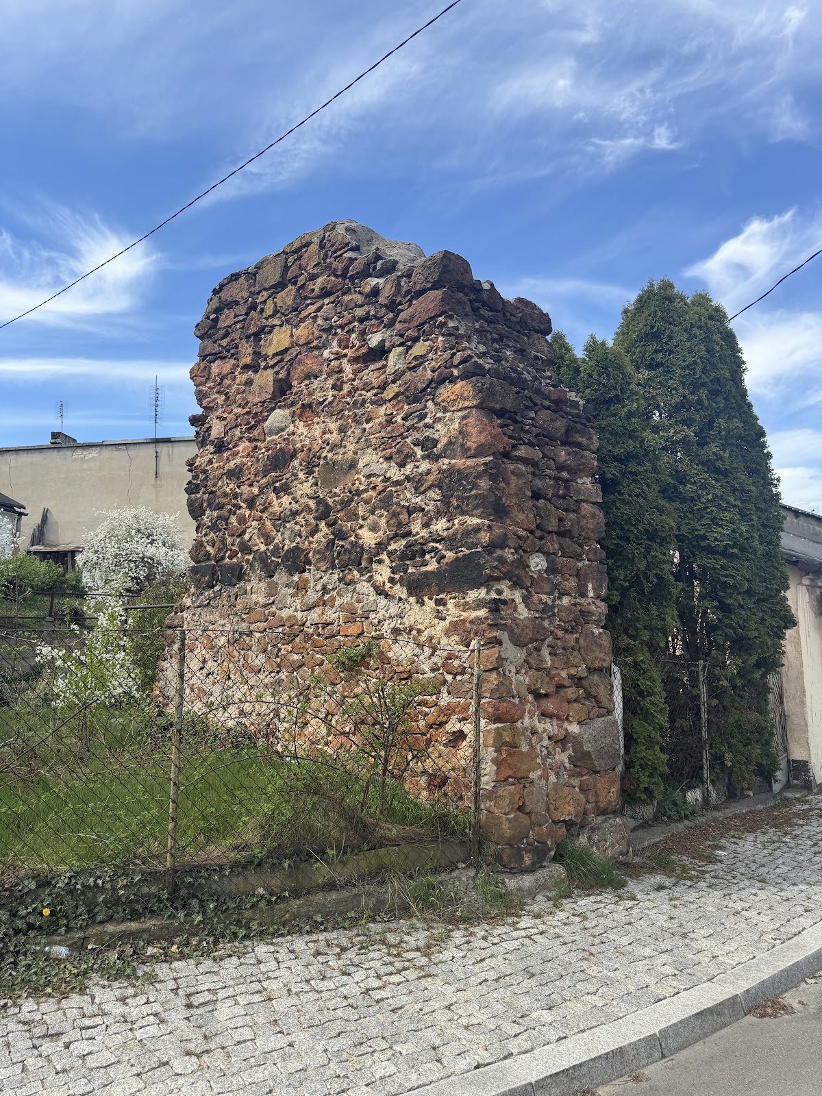 Ruiny rezydencji królewskiej w Przedborzu