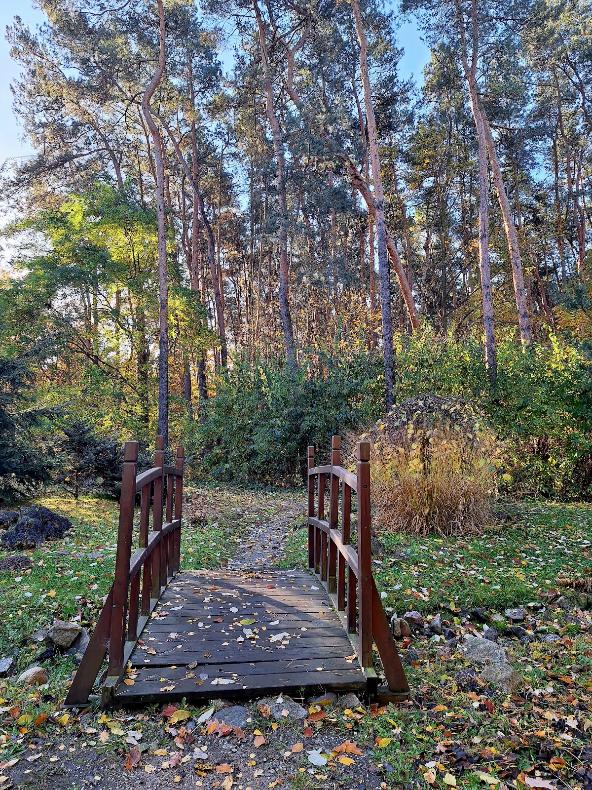 Wieluński Ogród Botaniczny