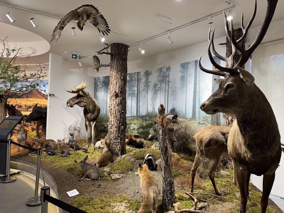 Muzeum Przyrodnicze Uniwersytetu Łódzkiego