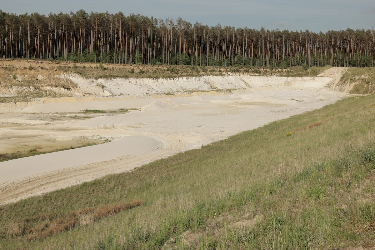Tomaszowskie Kopalnie Surowców Mineralnych "BIAŁA GÓRA"