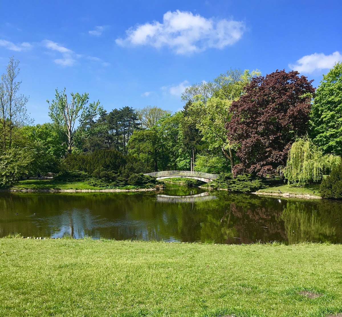 Park Poniatowskiego