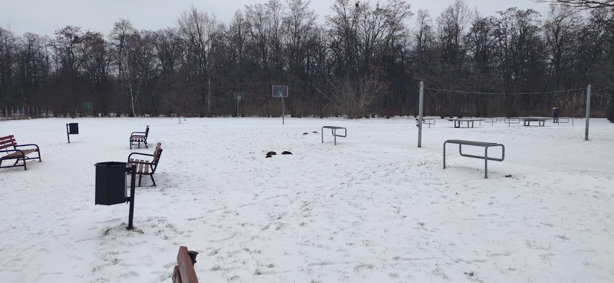 Siłownia zewnętrzna w parku im. Ks. J. Poniatowskiego