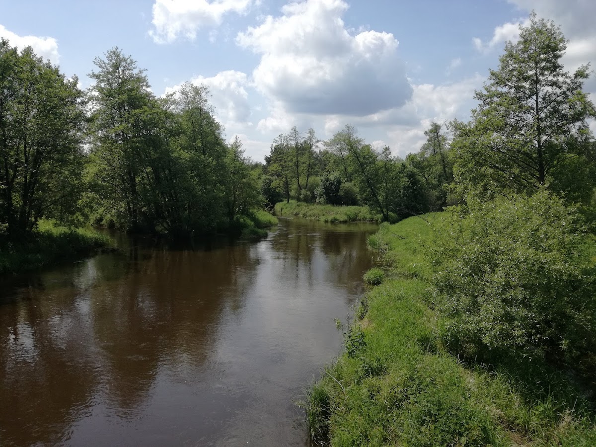 Przedborski Park Krajobrazowy