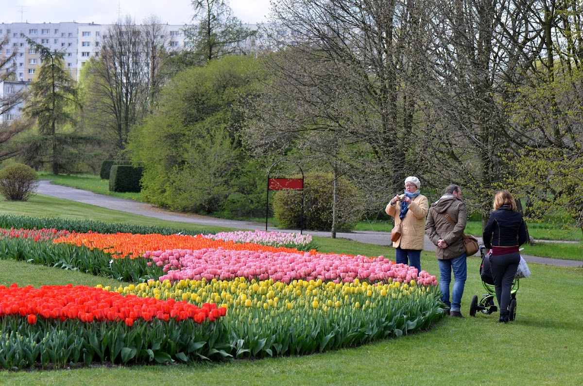 Łódzki Ogród Botaniczny