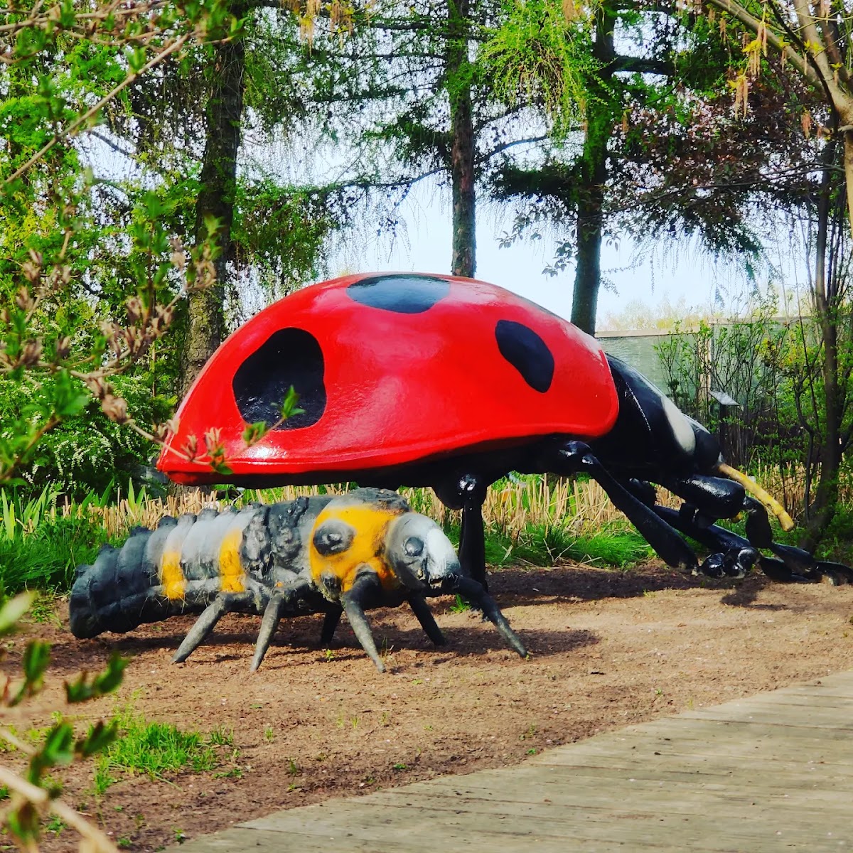 MIKROKOSMOS Park Edukacyjno - Rozrywkowy