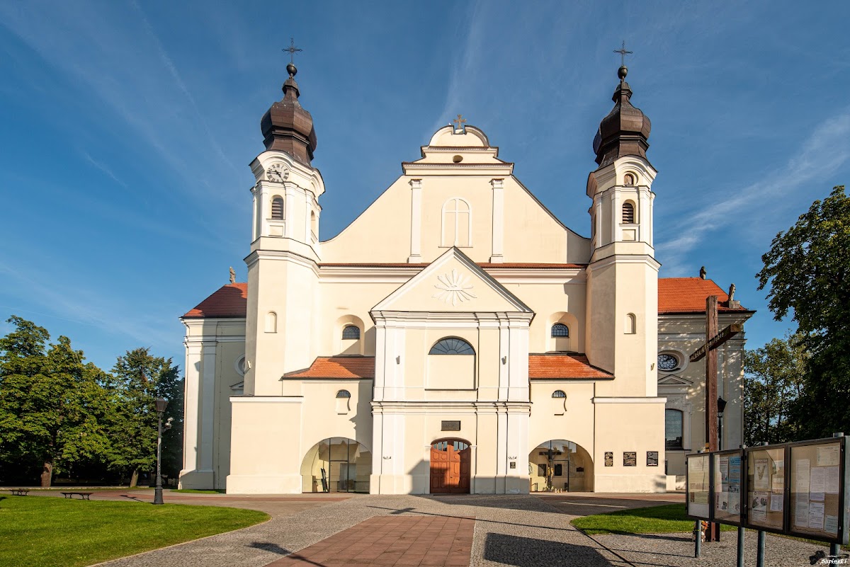 Kościół kolegiacki pw. Niepokalanego Poczęcia Najświętszej Maryi Panny i św. Michała Archanioła w Łasku