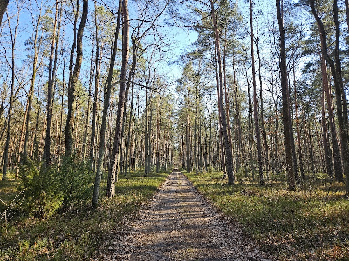 Bolimowski Park Krajobrazowy