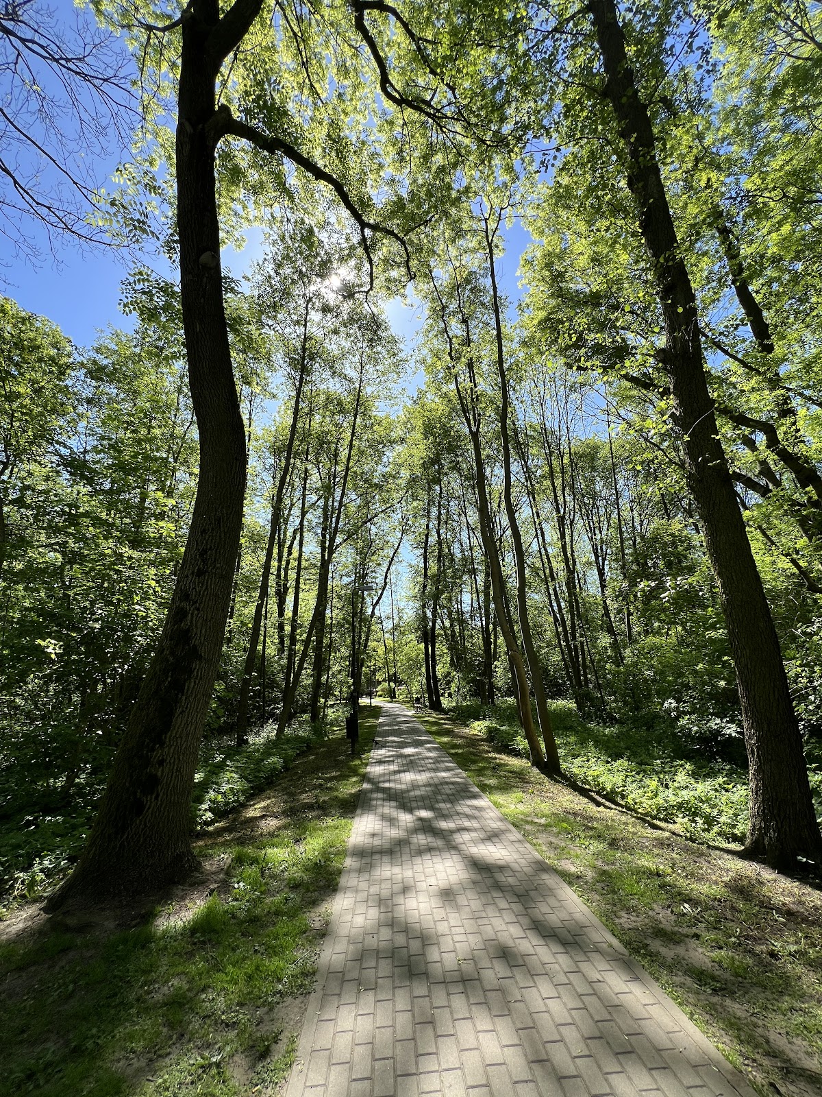 Park Piastowski