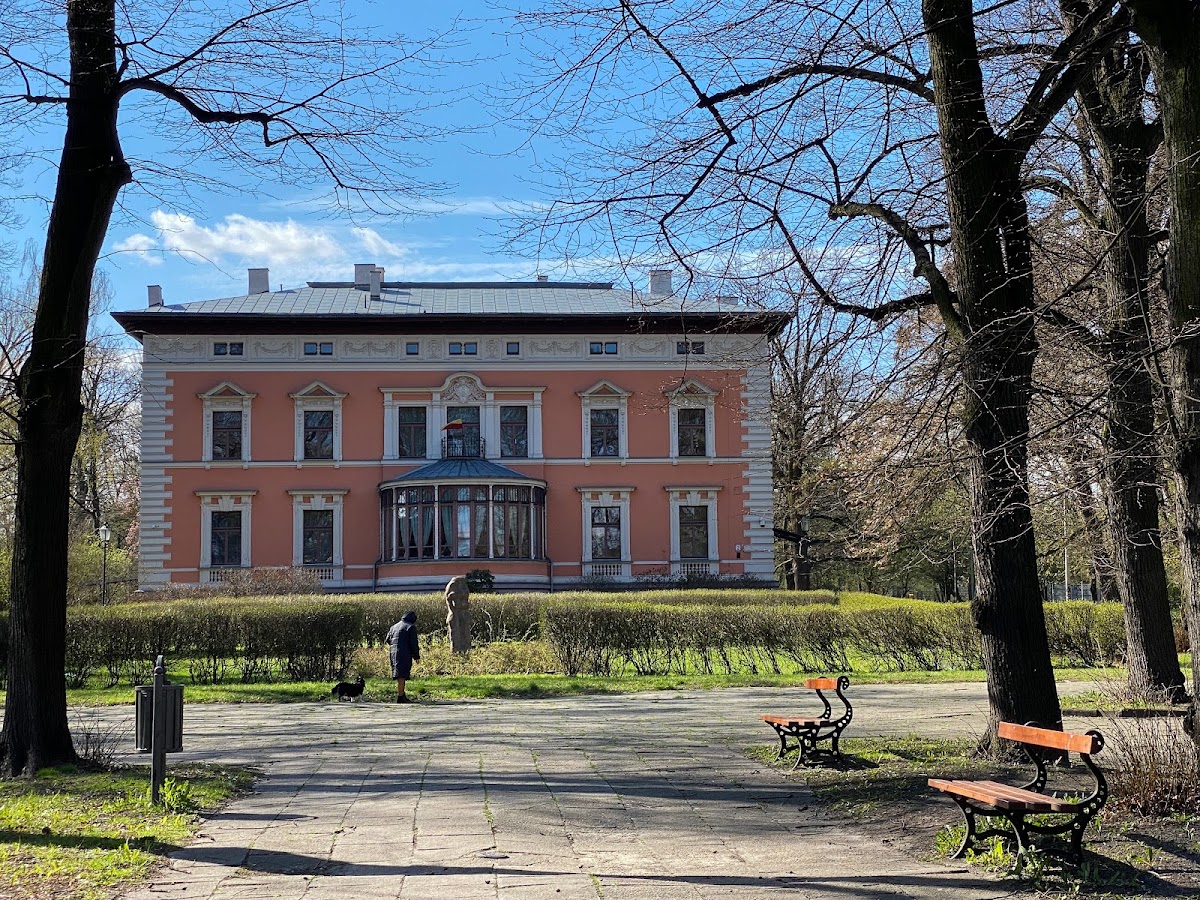Siłownia zewnętrzna w parku im. Legionów
