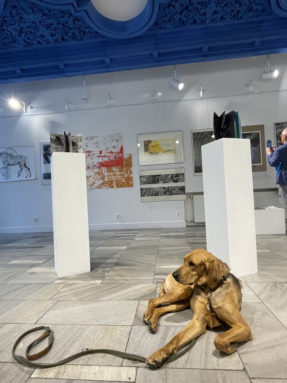 Galeria Akademii Sztuk Pięknych im. Wł. Strzemińskiego w Łodzi