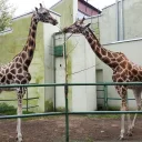 Miejski Ogród Zoologiczny w Łodzi