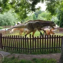 Park Miejski im. Tadeusza Kościuszki