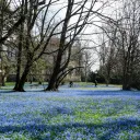Park im. M. Klepacza
