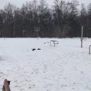 Siłownia zewnętrzna w parku im. Ks. J. Poniatowskiego