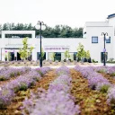 Medical SPA Hotel Lawendowe Termy