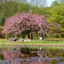 Łódzki Ogród Botaniczny