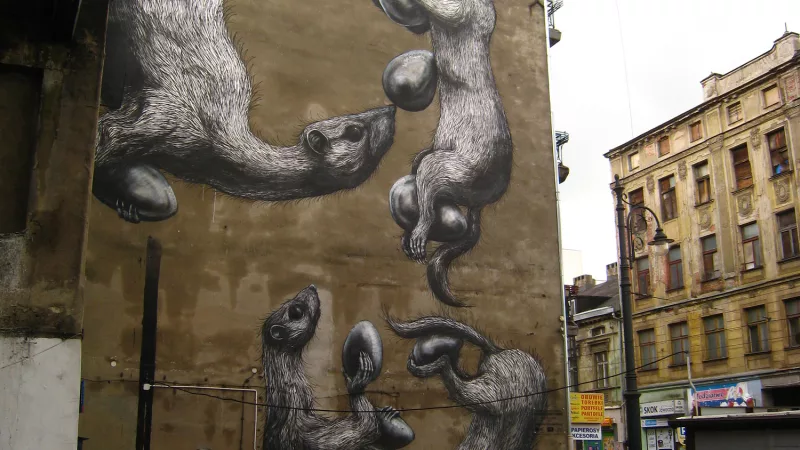 mural - ROA (Belgia), 2013