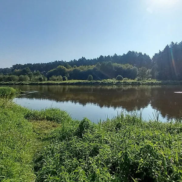 Kąpielisko Kurnędz