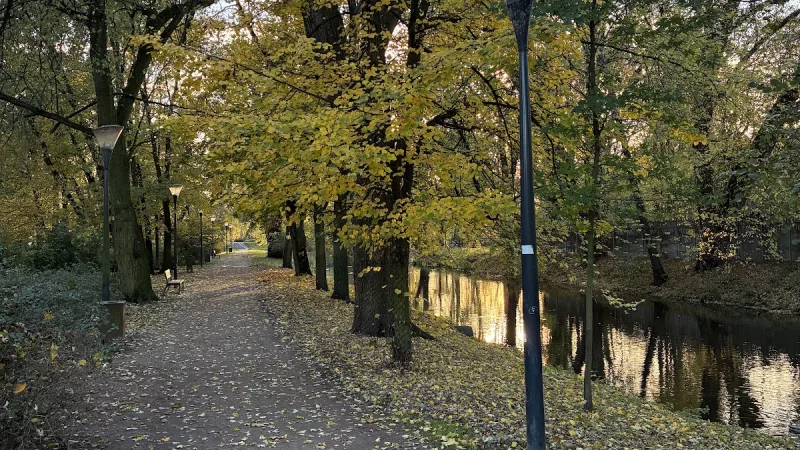 Park miejski