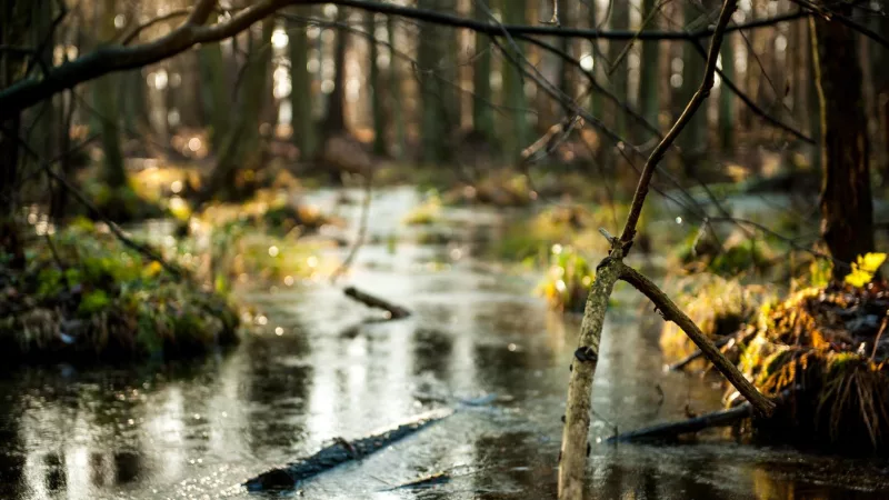 Bolimowski Park Krajobrazowy