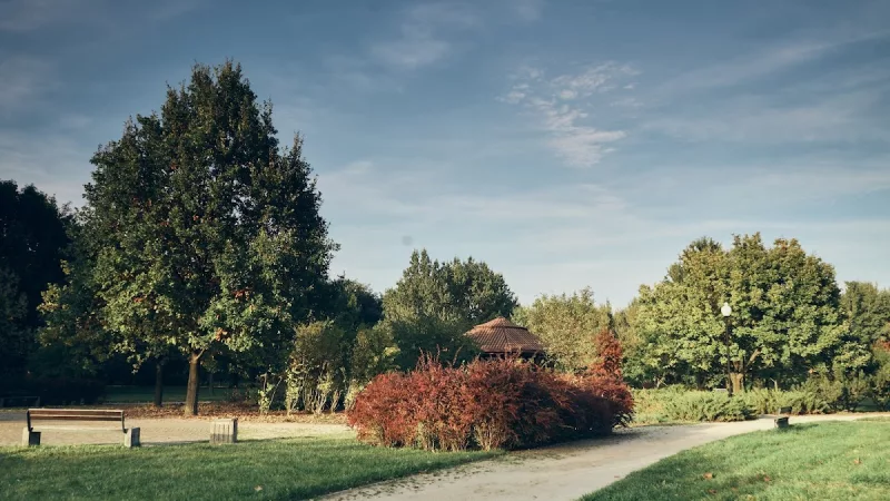 Park im. prof. Juliana Samujłły