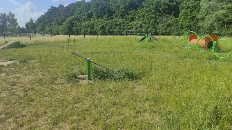 Park dla psów, wybieg dla psów