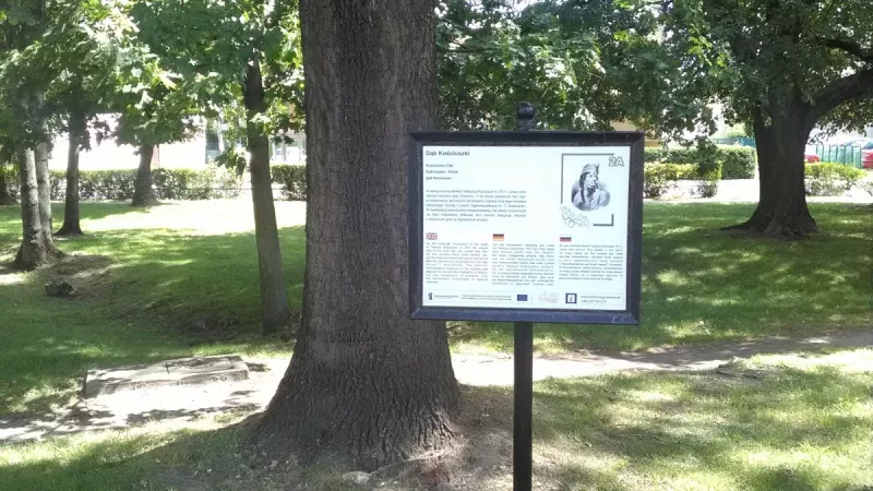 Dąb Kościuszki