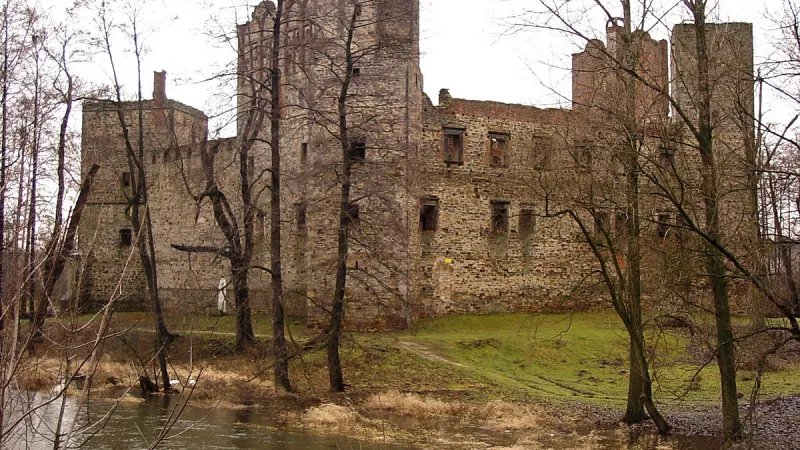 Zamek arcybiskupi w Drzewicy