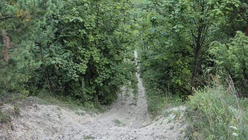 Kopuły