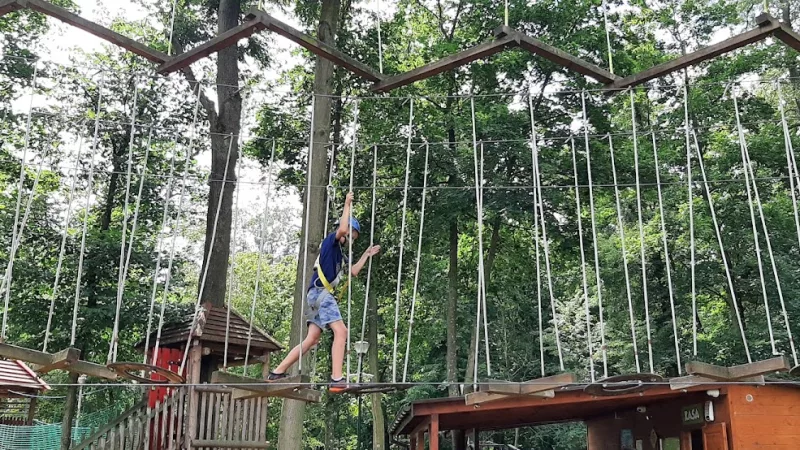 Park Linowy