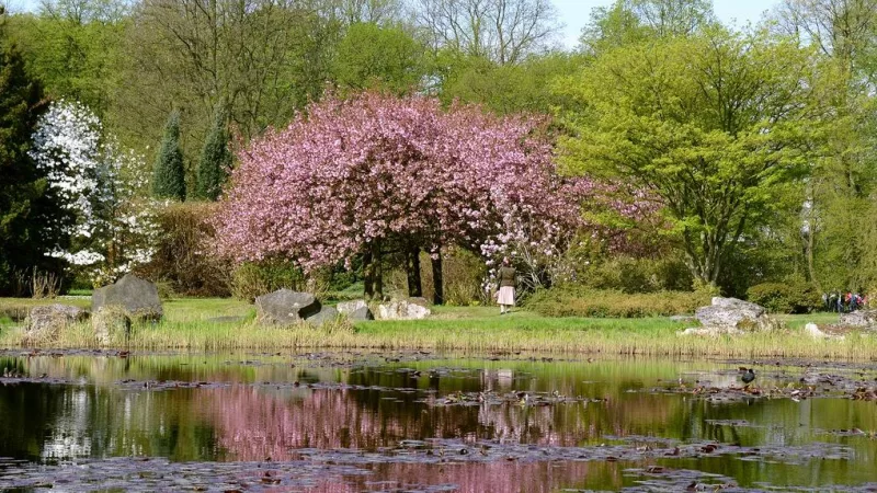 Łódzki Ogród Botaniczny