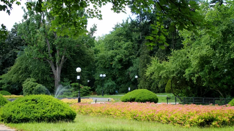 Park im. Jana Matejki