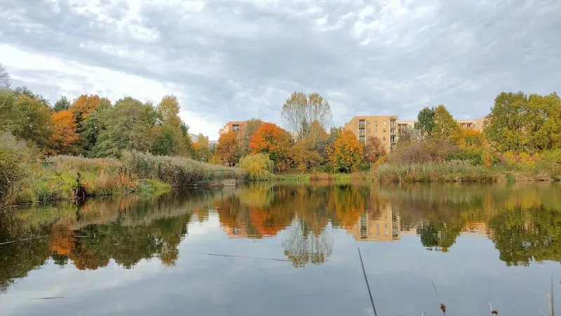 Dolina Sokołówki