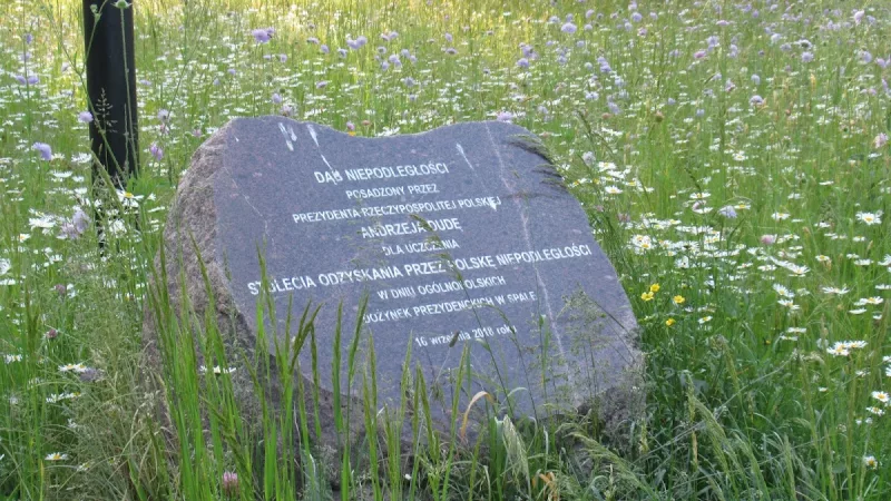 Dąb Niepodległości