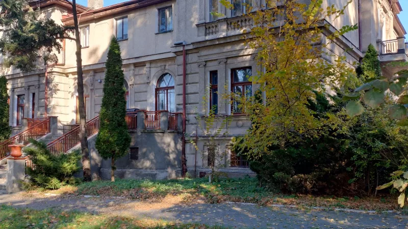 Pałacyk Borsta