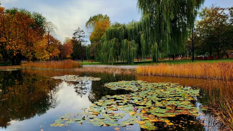 Park im Stefana Złotnickiego
