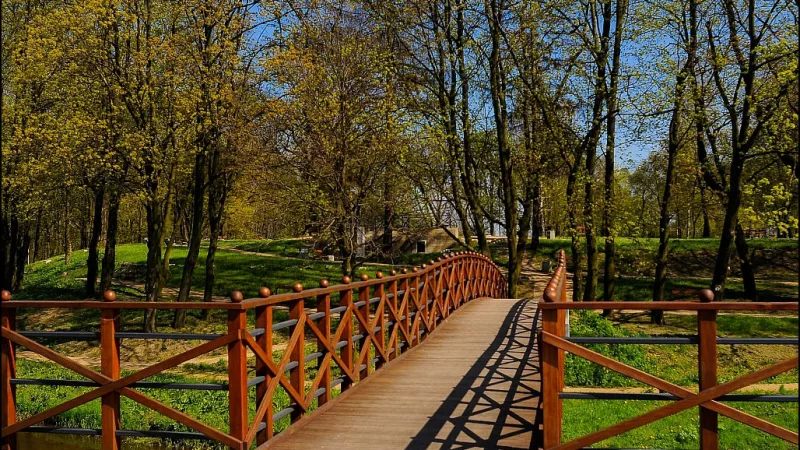 Wzgórze Zamkowe