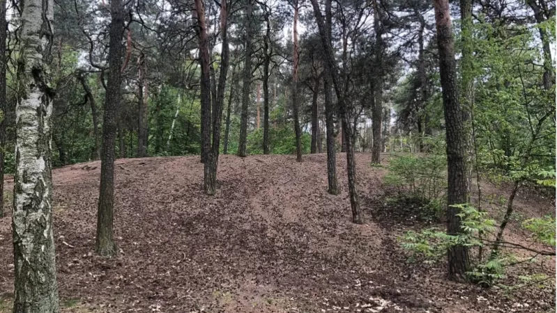 Wydma śródlądowa