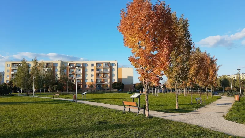 Park Miejski w Sieradzu, Osiedle Klonowe