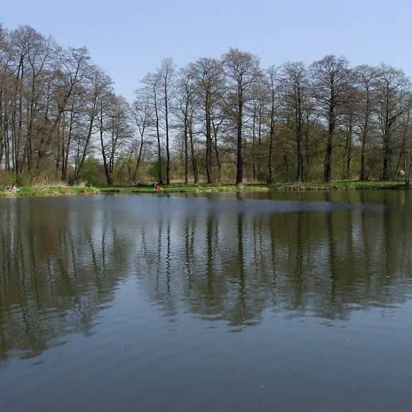 Młynek