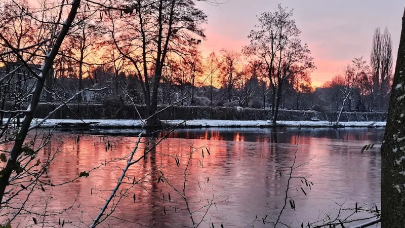Staw nad Dobrzynką