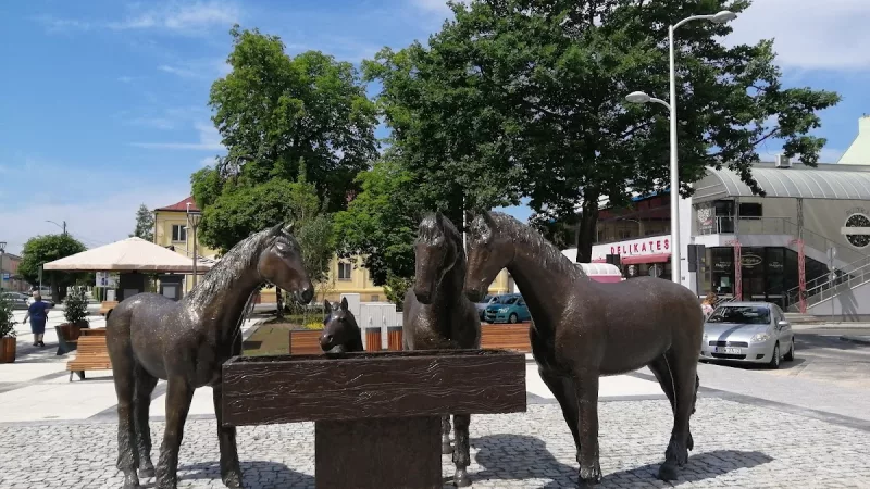 Pomnik koni