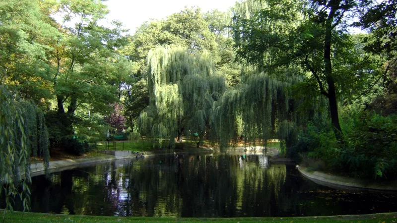 Park Staszica